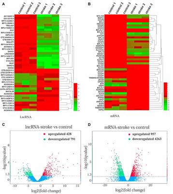 Expression Profile and Potential Functions of Circulating Long Noncoding RNAs in Acute Ischemic Stroke in the Southern Chinese Han Population